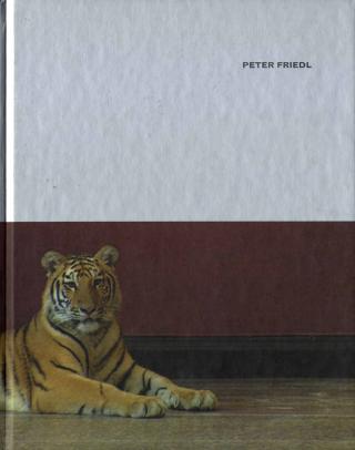 Peter Friedl Peter Friedl