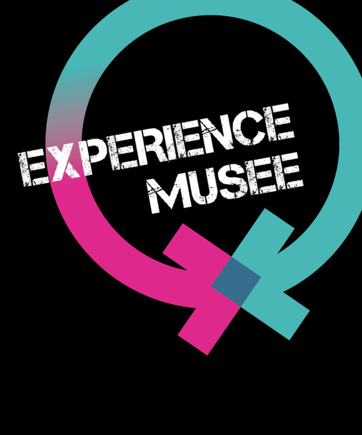 Experience musee 2013.jpg